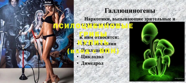 мдпв Алексин